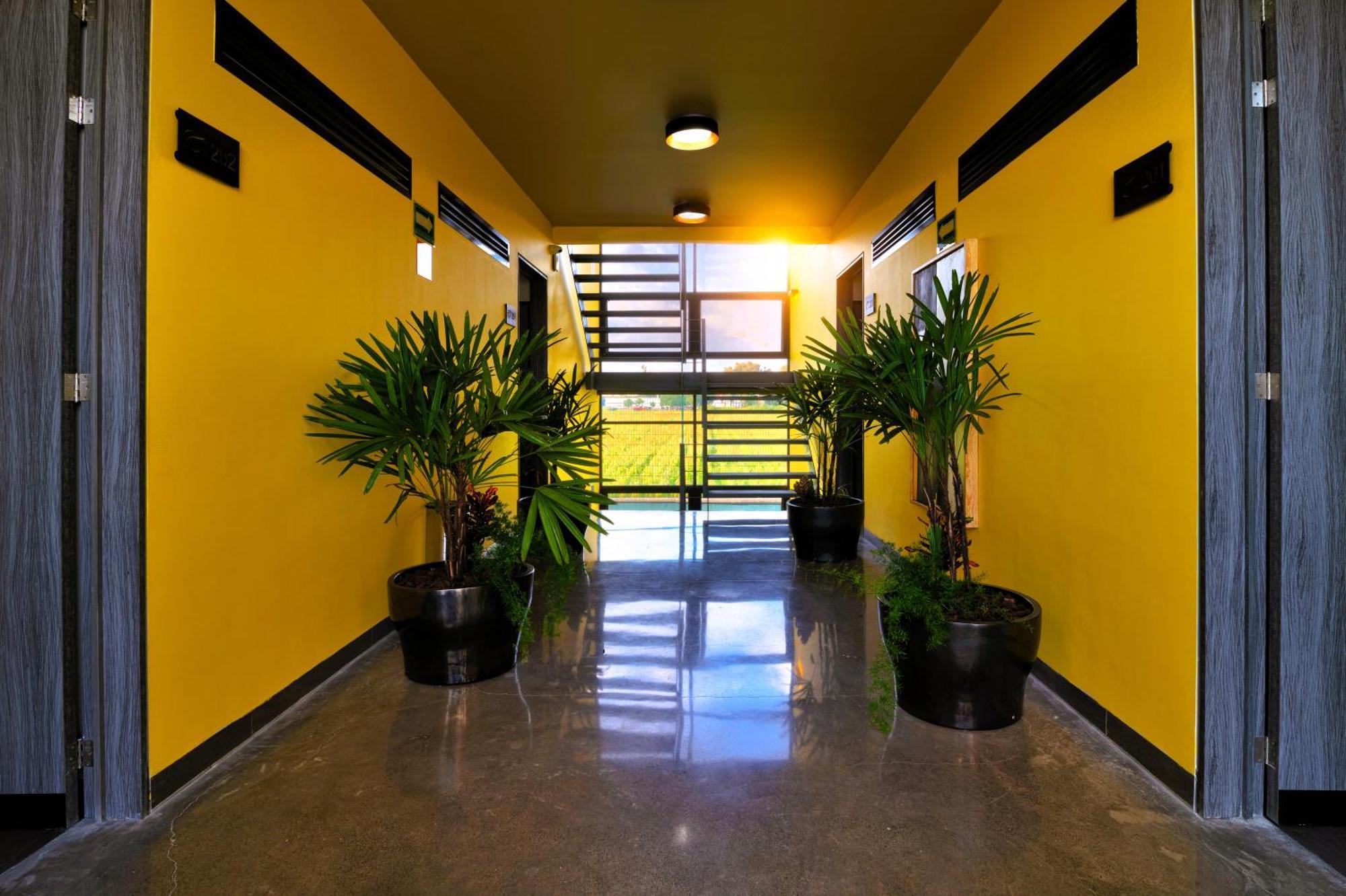 Arboleda 5 Luxury Lofts Aparthotel ซิเลา ภายนอก รูปภาพ